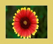 after 1st stroke image healthtips images